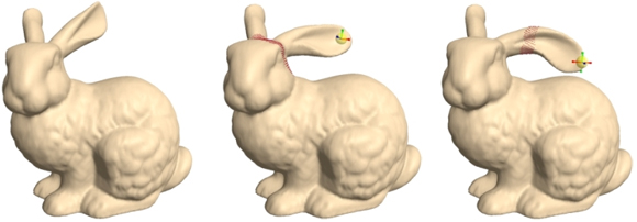 Laplacian Surface Editing of the Bunny