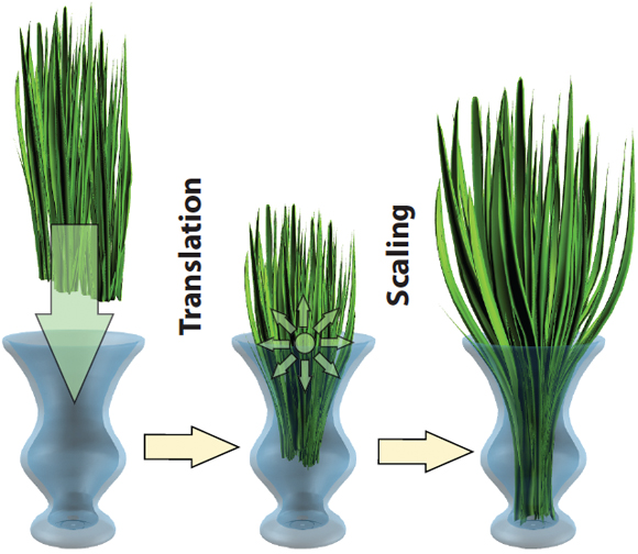 Plants modeled while resolving contact with the vase