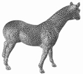 cellular horse
