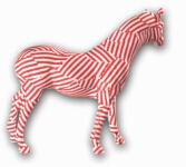 zebra horse